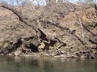 river walking 017.webp