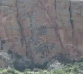 fresco.webp