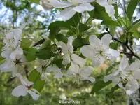 IMG_0495.webp