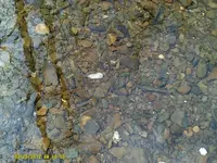 DSCF0003 (800x600).webp
