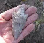 sundays dig 3.5.2012 012.webp