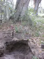 sundays dig 3.5.2012 016.webp