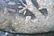 IMAG0358-2.webp