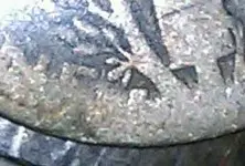 IMAG0358-1.webp