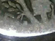 IMAG0359-2.webp
