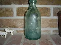 bottle cat snake 003.webp