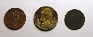 coins-found-june1.webp