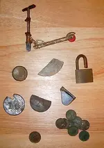 more park finds.webp