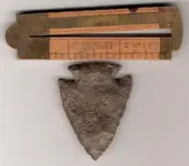 Arrowhead  - Back.webp