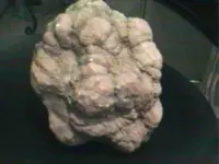 rock-1.webp