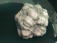 rock-2.webp