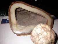 DSCN0046.webp