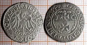 Grossus_Sigismundi.webp