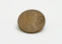 penny.webp