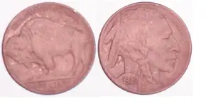 BuffaloBack&Front.webp