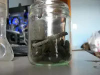 DSCN1491.webp