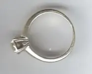 ring.webp