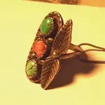 front yard ring.webp