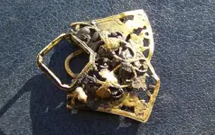 Toumble Buckle.webp