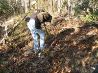 DanInspectingTrashDig.webp