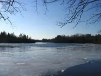 TidalFreeze.webp