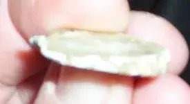 flatmini1.webp