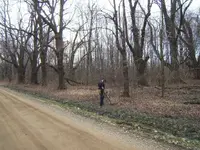 3-31hunt 017.webp