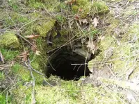 3-31hunt 002.webp