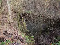 DSCN2781.webp