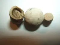 DSCF1339.webp
