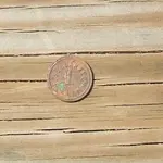 DSCF0121.webp