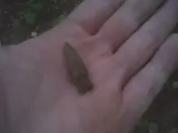 04-25-11_1541.webp