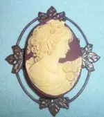 my broach.webp