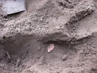 march 30 2012 026.webp