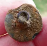 PEWTER BUTTON 028.webp