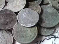 5c.webp