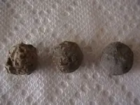 ABC_MUSKETBALL.webp