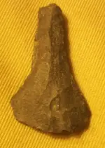 Arrowhead #3.webp