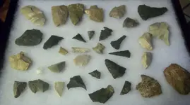Arrowhead case.webp