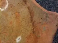 olive jar inside.webp