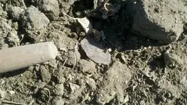 031512193742 (800x451).webp
