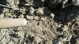 2012-03-15_14-45-29_828 (800x451).webp