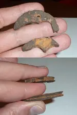 whatisit6.webp