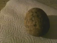 meterorite 2.webp