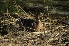 20120327_5.webp