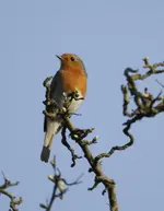 20120328_17.webp