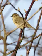 20120329_16.webp