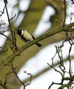 20120330_31.webp