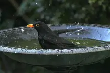 20120330_35.webp