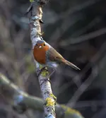 20120330_40.webp